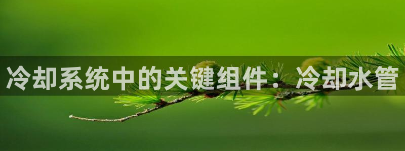 众腾娱乐博彩