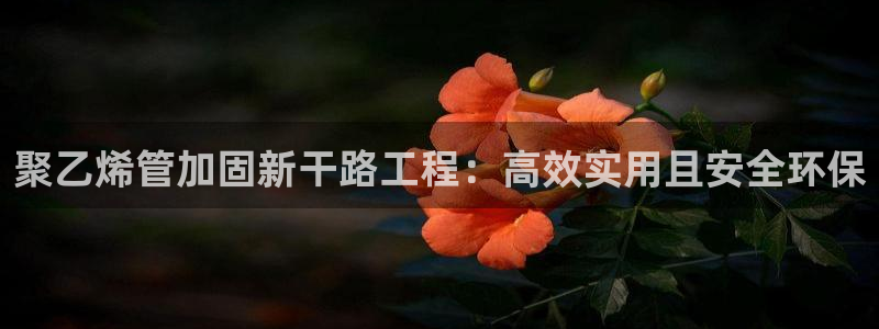 众腾娱乐