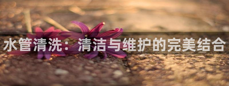 彝族自治州众腾娱乐