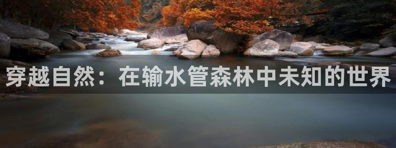 众腾娱乐公司简介
