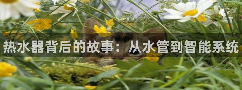 腾众娱乐