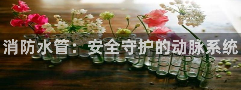 腾耀娱乐众推55312