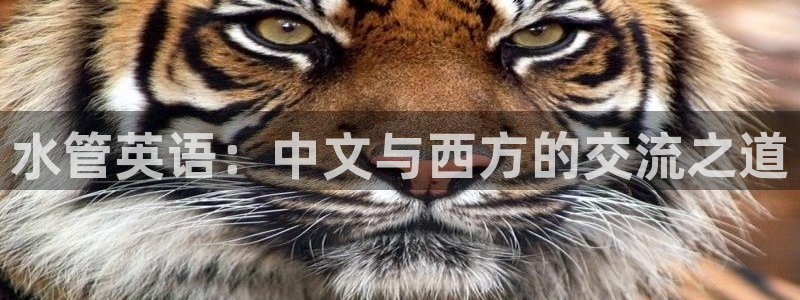 腾耀娱乐29999出众
