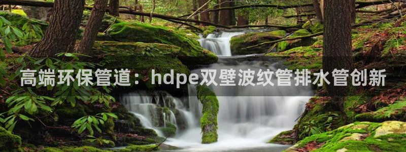 众腾娱乐公司简介