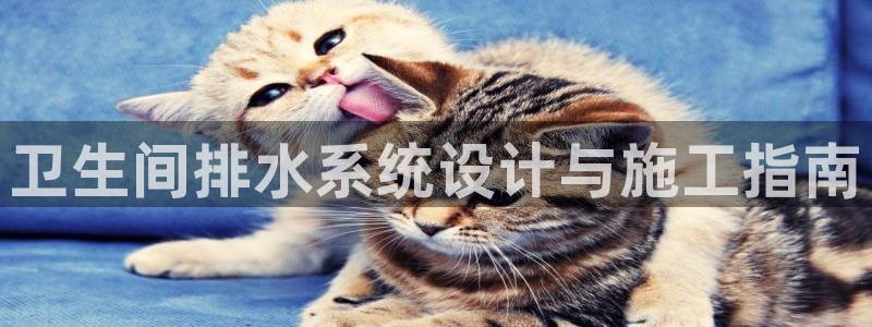 包头众腾娱乐密室逃脱