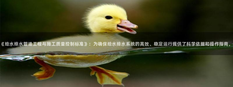 众腾娱乐登入探索无限空间