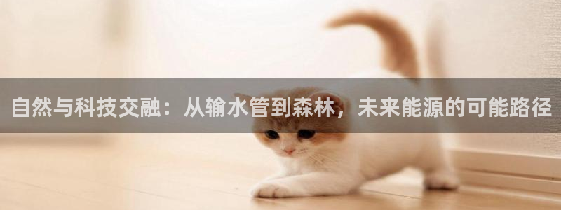 众腾娱乐平台群7O777