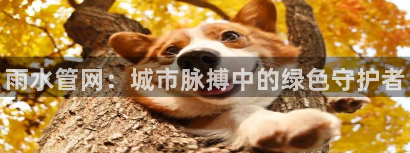 腾众娱乐