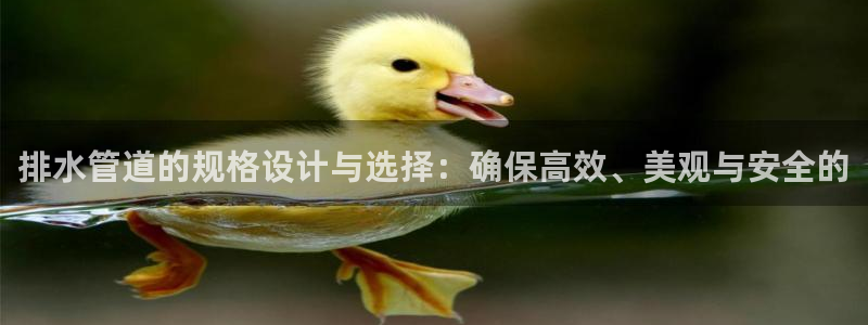 众腾娱乐平台群7O777