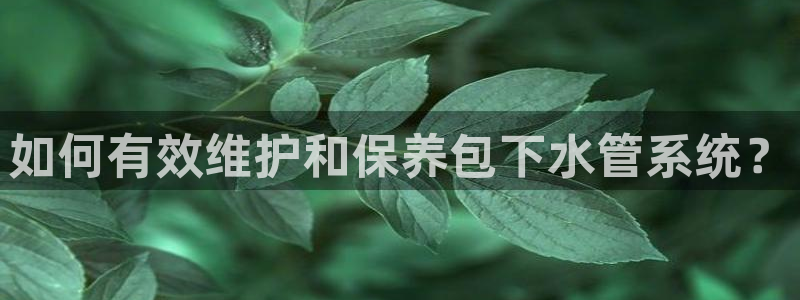 众腾娱乐平台下载