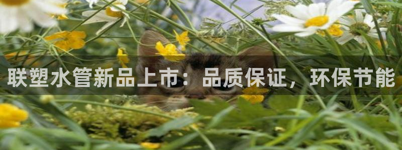 众腾娱乐代理怎么样