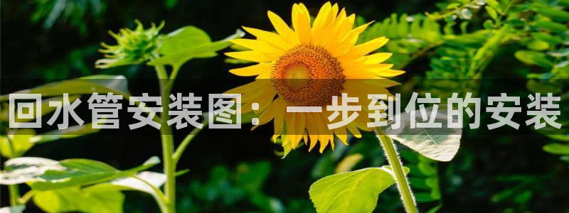 众腾娱乐平台下载