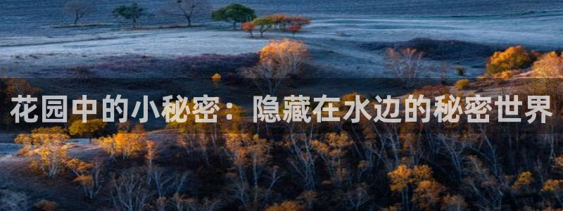 内蒙古众腾娱乐文化法人