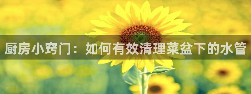 腾耀娱乐众推46996