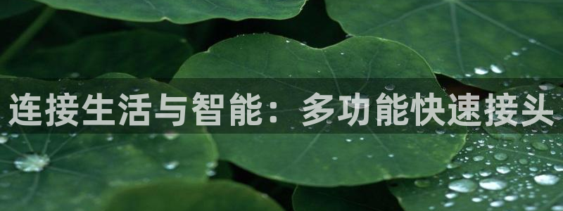 腾众竞技娱乐