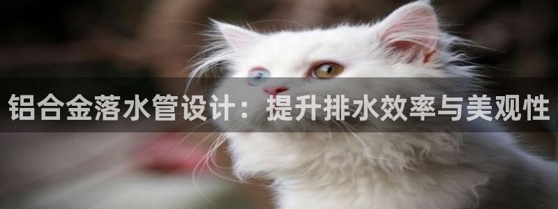 楚雄众腾娱乐在哪里