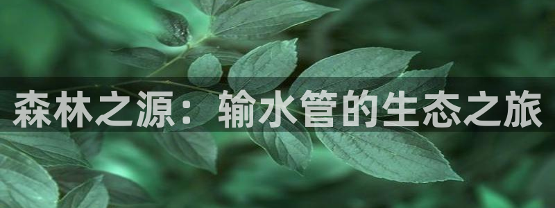 众腾娱乐开户