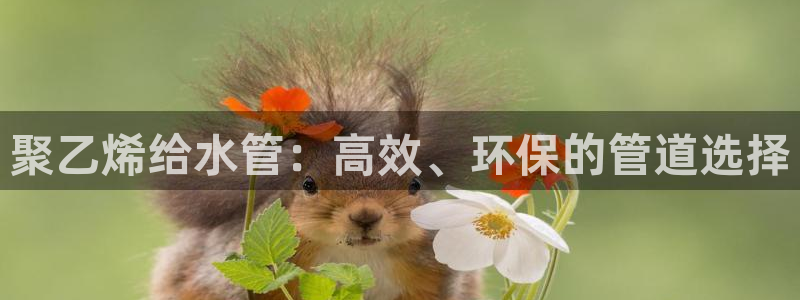 众腾娱乐博彩