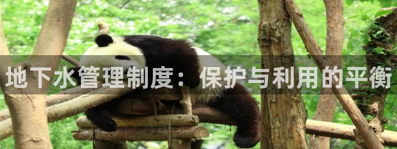 众腾娱乐公司简介