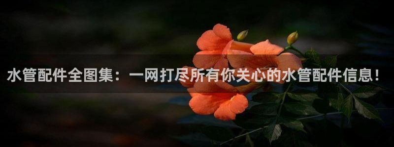 众腾娱乐邵阳
