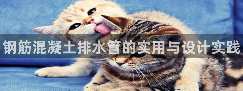 众东腾娱乐客服
