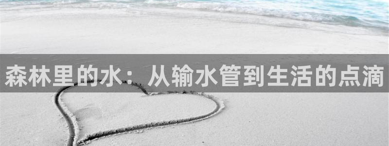 众腾娱乐平台官网入口