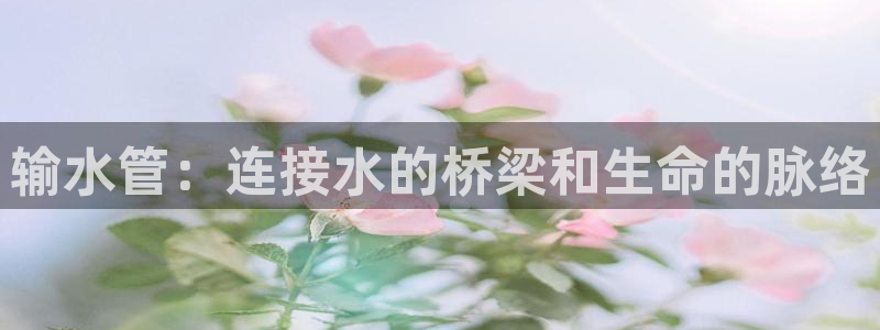腾众娱乐彩票