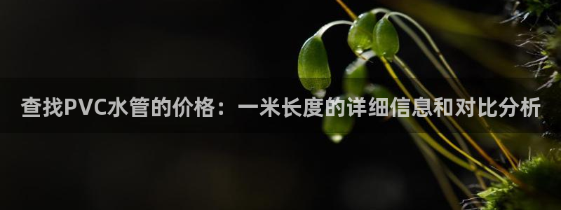 众腾娱乐APP下载