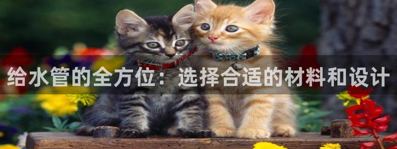 彝族自治州众腾娱乐