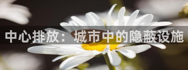 众腾娱乐官方客服电话