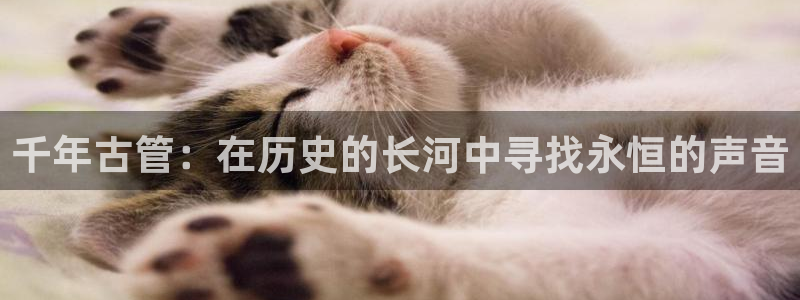 众腾娱乐公司简介