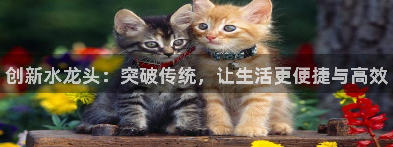 众腾娱乐梦幻演艺店