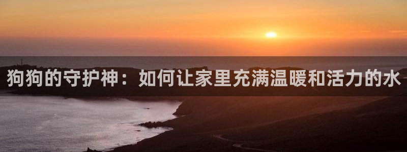 彝族自治州众腾娱乐