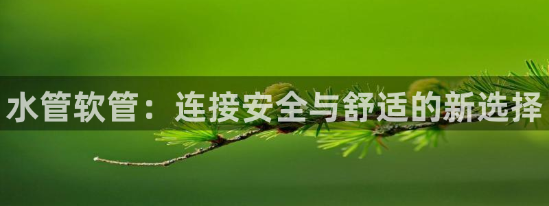 众腾娱乐文化怎么样