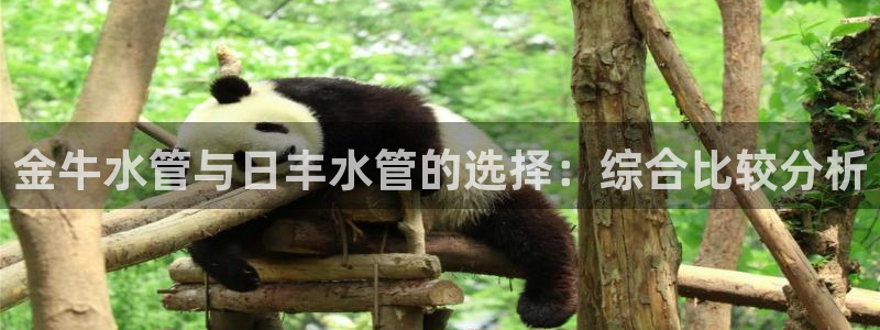 众腾娱乐发7O777