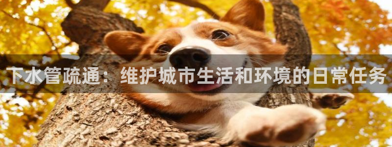 包头众腾娱乐密室逃脱