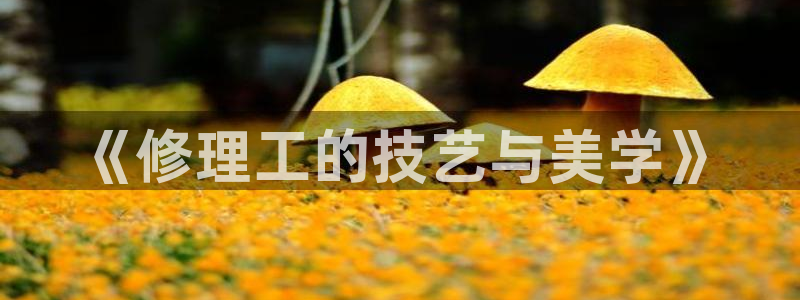 楚雄众腾娱乐在哪里