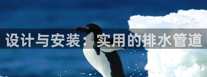 众腾娱乐APP下载