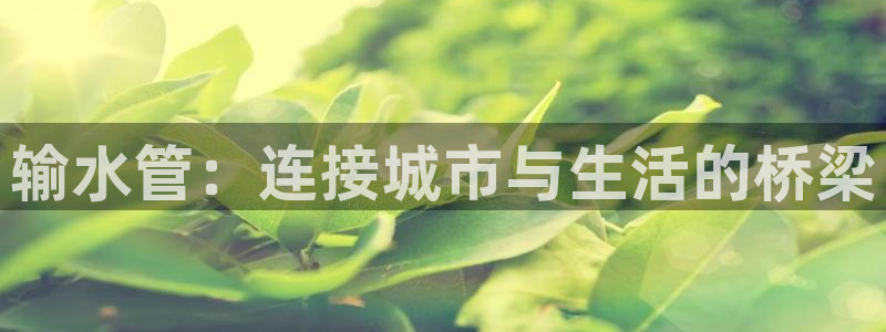 包头众腾娱乐密室逃脱