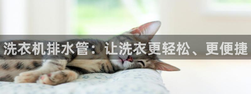 腾耀娱乐众推55312