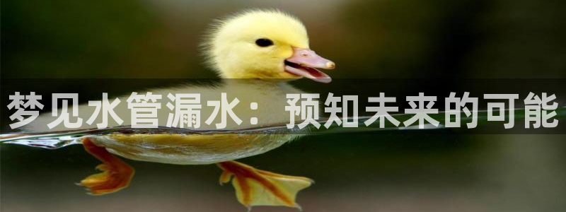 腾众娱乐的彩票靠谱吗