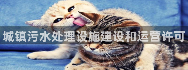 包头众腾娱乐密室逃脱