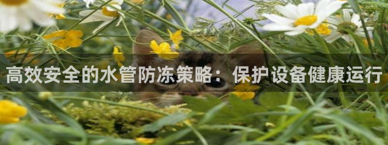 众腾娱乐毕 7O935