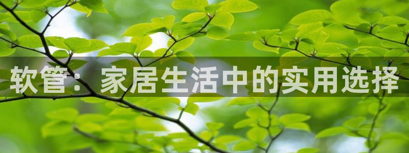 众腾娱乐文化怎么样